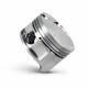 PISTON MOTEUR VEHICULE NORMAL